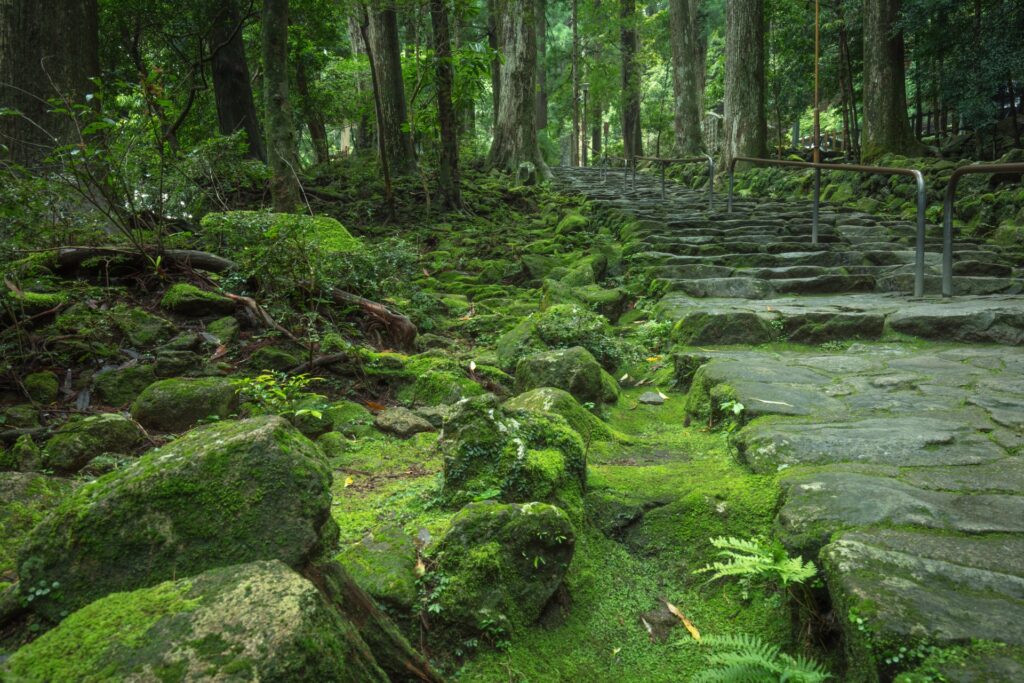 Best Places to Escape the Summer Heat in Japan (2026 Guide) Best Places to Escape the Summer Heat in Japan (2026 Guide)