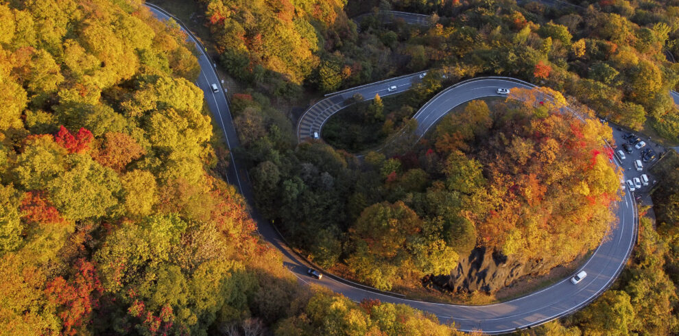 Eastern Japan Autumn Itinerary – 7 Day Tour to Tokyo, Nikko, Mt Fuji & Hakone