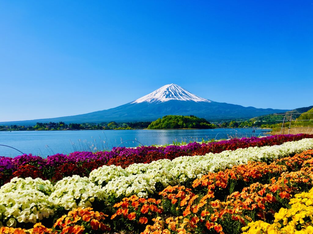 Real 8-Day Japan Itinerary for Seniors | Comfortable & Accessible Private Japan Itinerary Real 8-Day Japan Itinerary for Seniors | Comfortable & Accessible Private Japan Itinerary