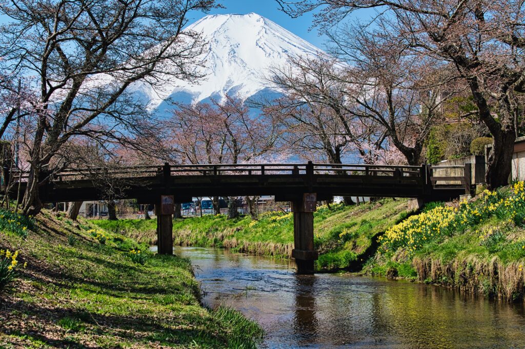 Real 8-Day Japan Itinerary for Seniors | Comfortable & Accessible Private Japan Itinerary Real 8-Day Japan Itinerary for Seniors | Comfortable & Accessible Private Japan Itinerary