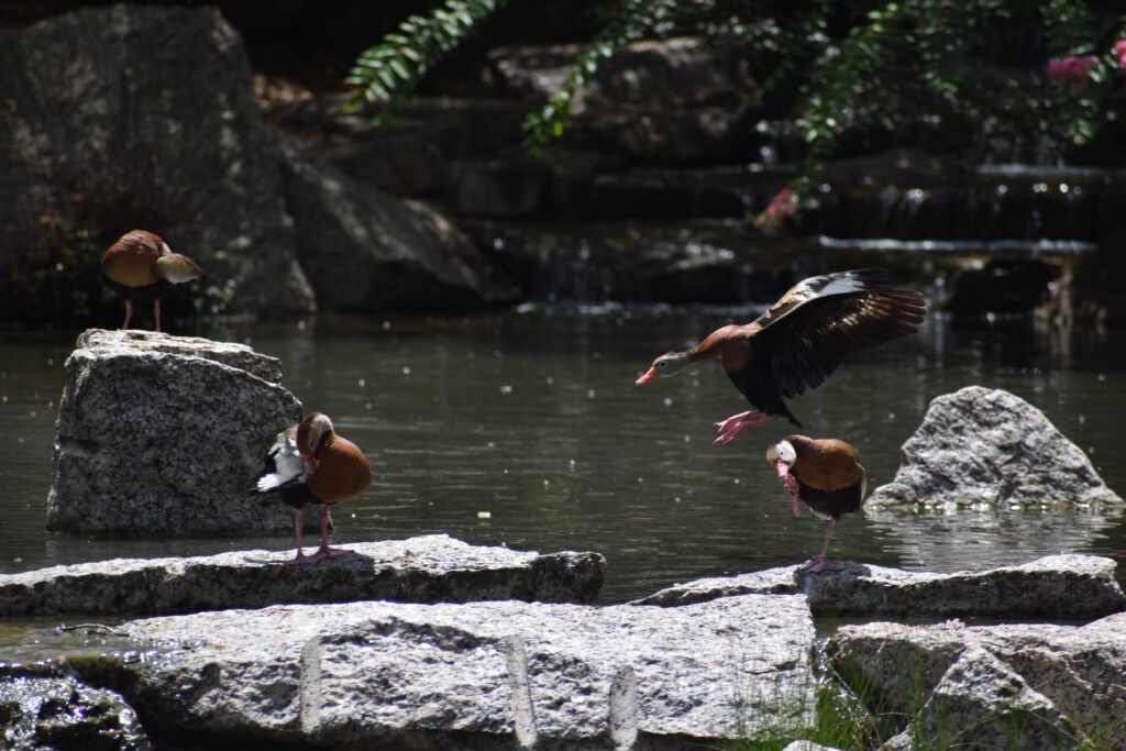 Into the Valley of Mist and Stone: A Slower Kind of Adventure in Gunma Prefecture Into the Valley of Mist and Stone: A Slower Kind of Adventure in Gunma Prefecture