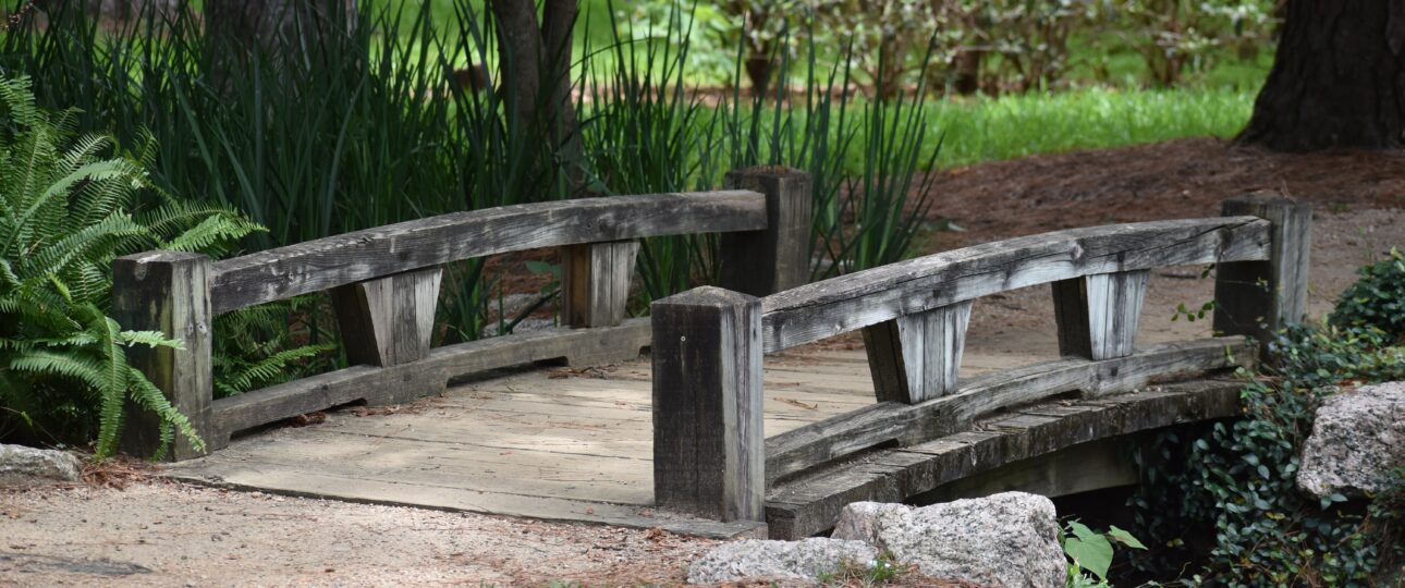 Hidden Gems in Ehime: Discovering the Prefecture Beyond Matsuyama