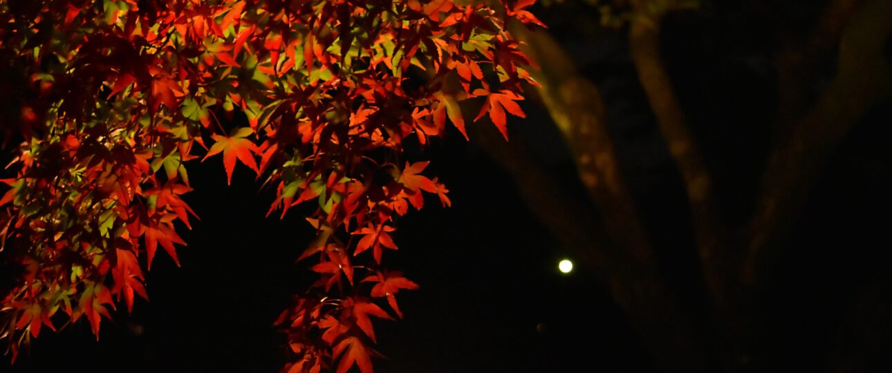 More Than a Meal: Discovering the Everyday Flavors of Gunma Prefecture More Than a Meal: Discovering the Everyday Flavors of Gunma Prefecture