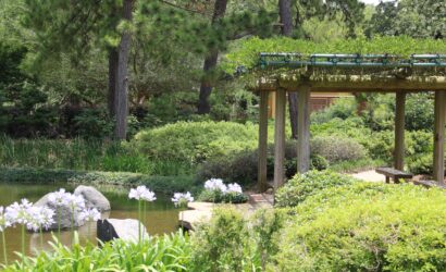 Echoes of Old Japan: Wandering Through Timeless Onsen Towns in Gunma Prefecture