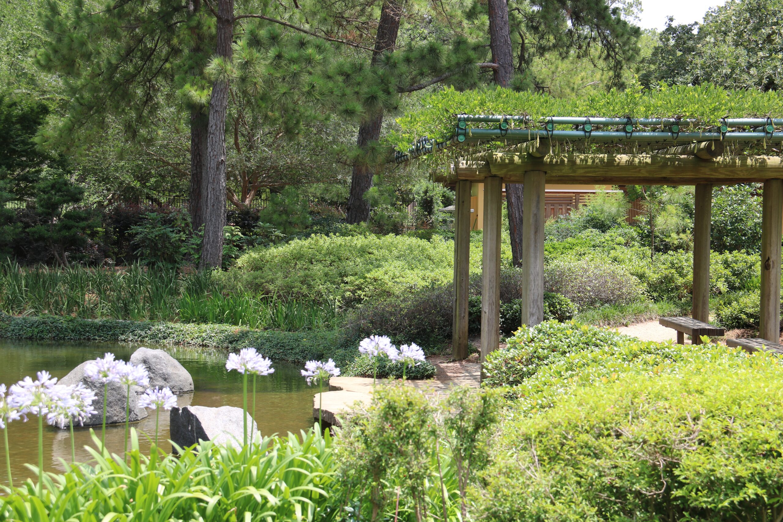 Echoes of Old Japan: Wandering Through Timeless Onsen Towns in Gunma Prefecture