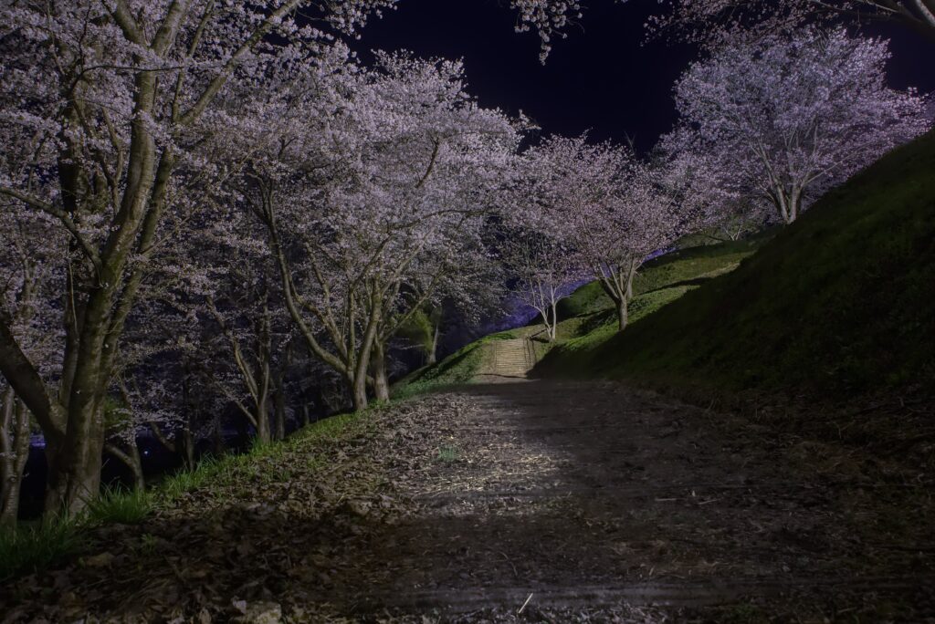 Echoes of Old Japan: Wandering Through Timeless Onsen Towns in Gunma Prefecture