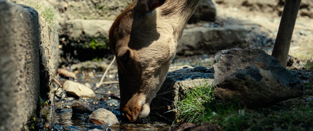 Into the Valley of Mist and Stone: A Slower Kind of Adventure in Gunma Prefecture Into the Valley of Mist and Stone: A Slower Kind of Adventure in Gunma Prefecture