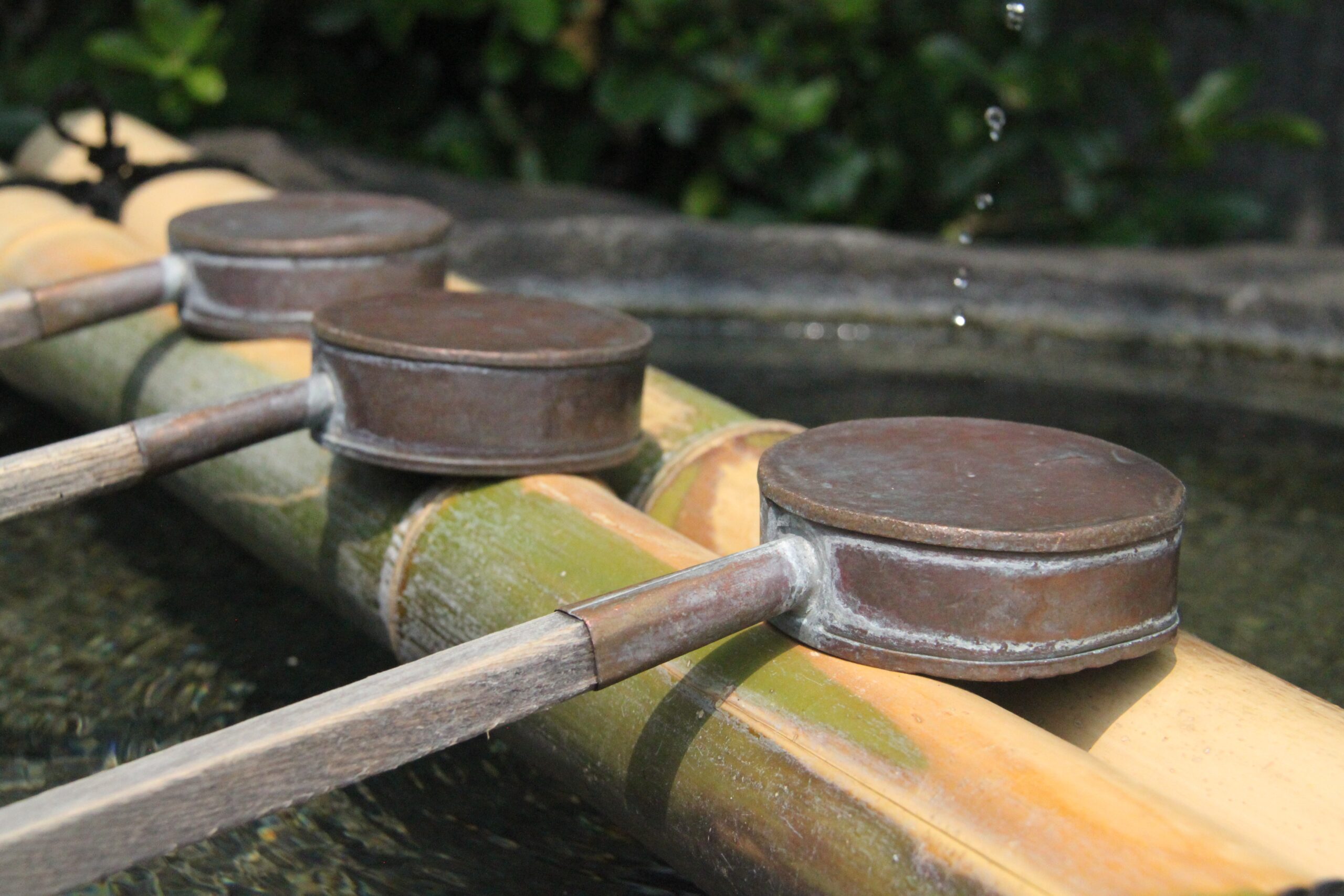 Soaking Beyond Relaxation: The Ritual of Onsen Culture in Oita Prefecture