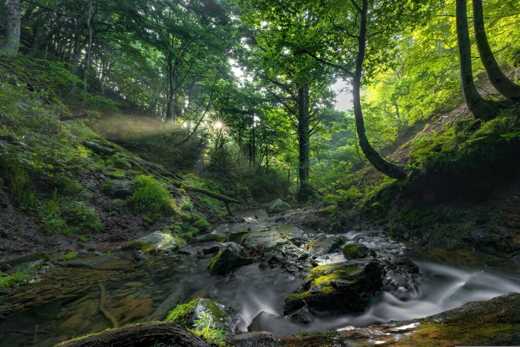 Ehime’s Citrus Culture: Exploring Japan’s Orange Kingdom Ehime’s Citrus Culture: Exploring Japan’s Orange Kingdom