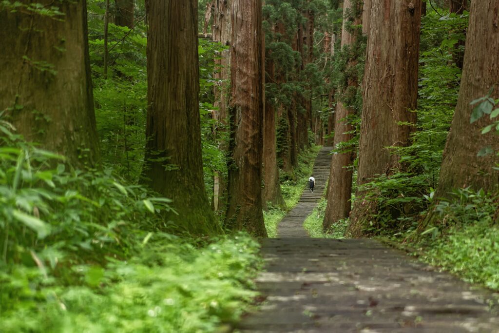Cycling the Shimanami Kaido: Japan’s Most Scenic Coastal Route