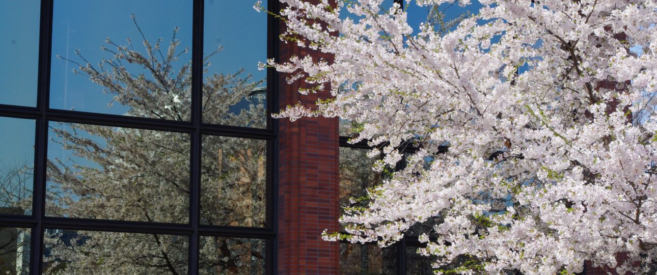 Top Things to Do in Gunma, Japan: A Quiet Collection of Experiences That Stay With You Top Things to Do in Gunma, Japan: A Quiet Collection of Experiences That Stay With You