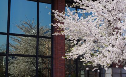 Top Things to Do in Gunma, Japan: A Quiet Collection of Experiences That Stay With You