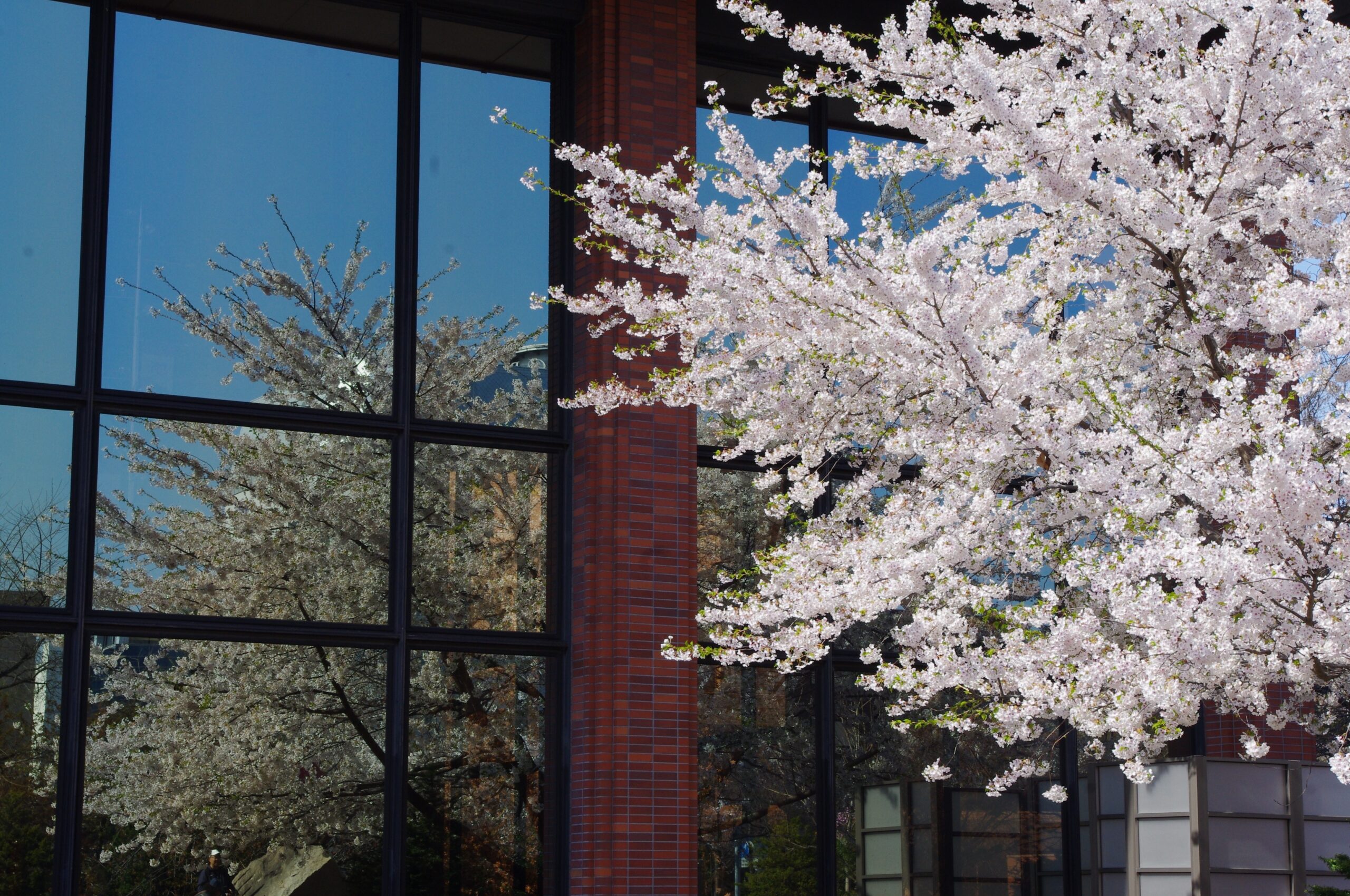 Top Things to Do in Gunma, Japan: A Quiet Collection of Experiences That Stay With You