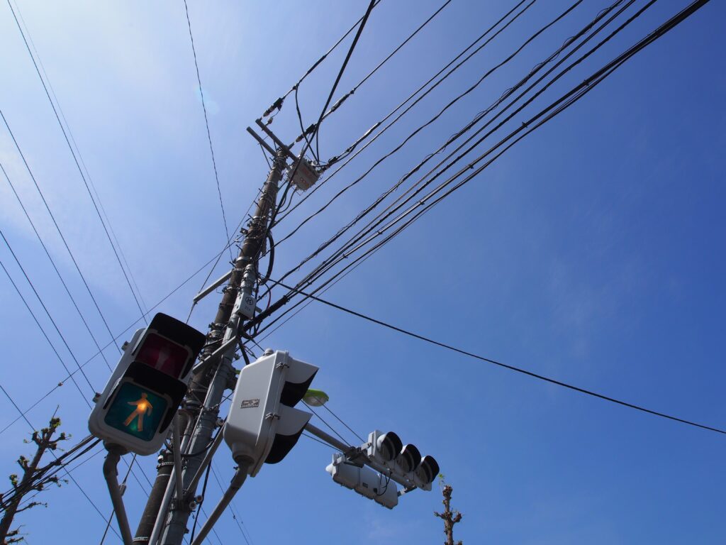 Steam, Silence, and Storytelling: What Makes Oita Prefecture Unforgettable