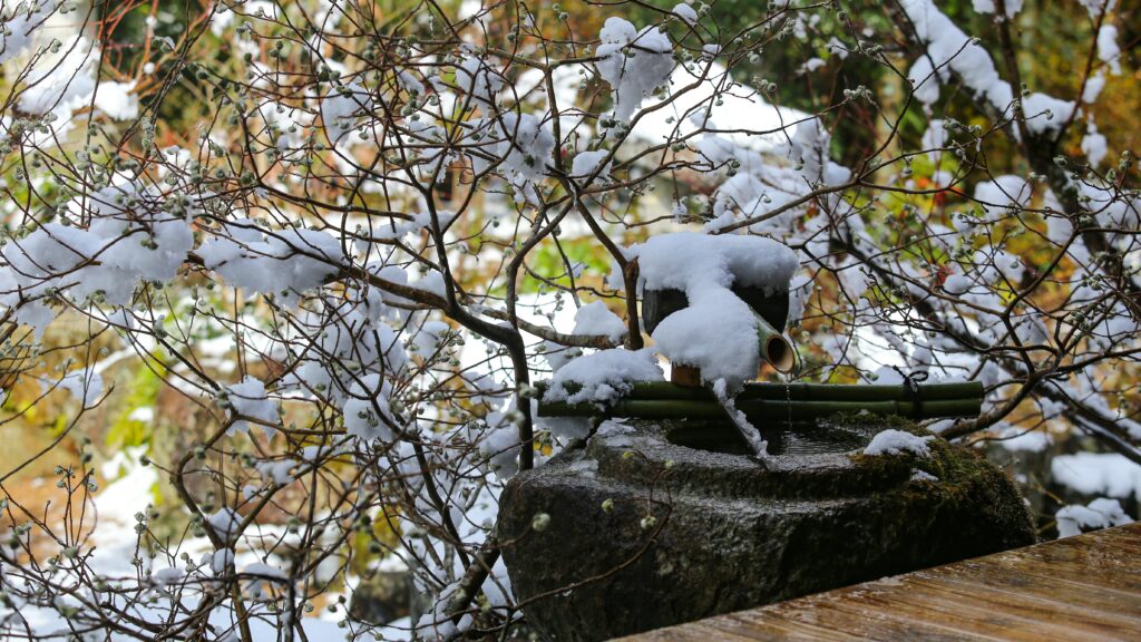 More Than a Meal: Discovering the Everyday Flavors of Gunma Prefecture More Than a Meal: Discovering the Everyday Flavors of Gunma Prefecture