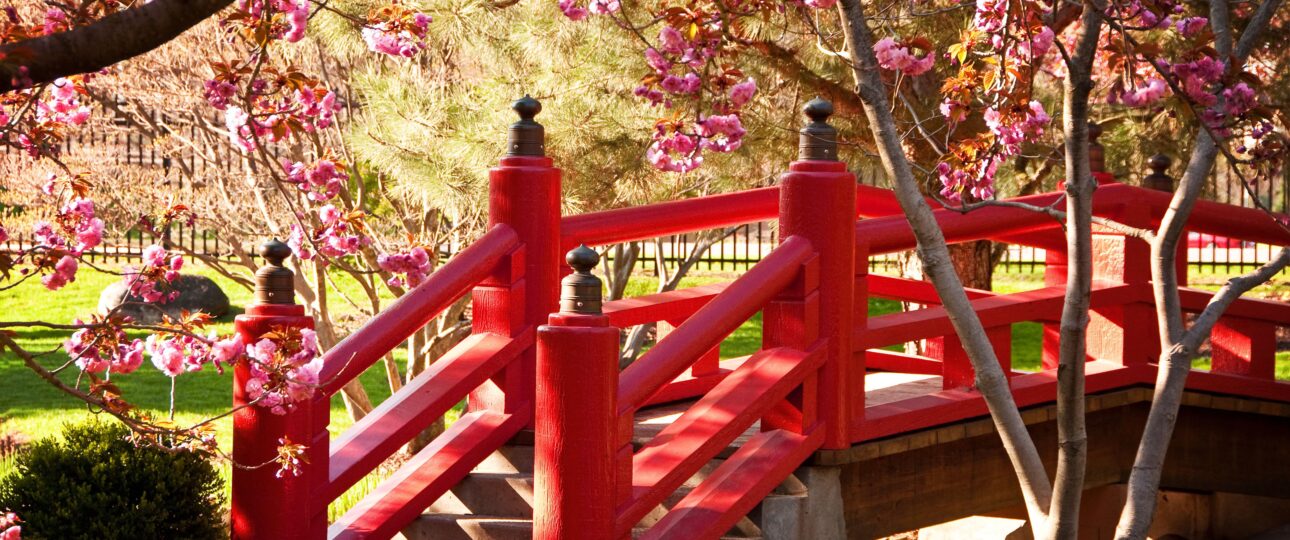 Dogo Onsen and the Spirit of Healing: A Literary Journey Through Ehime Prefecture