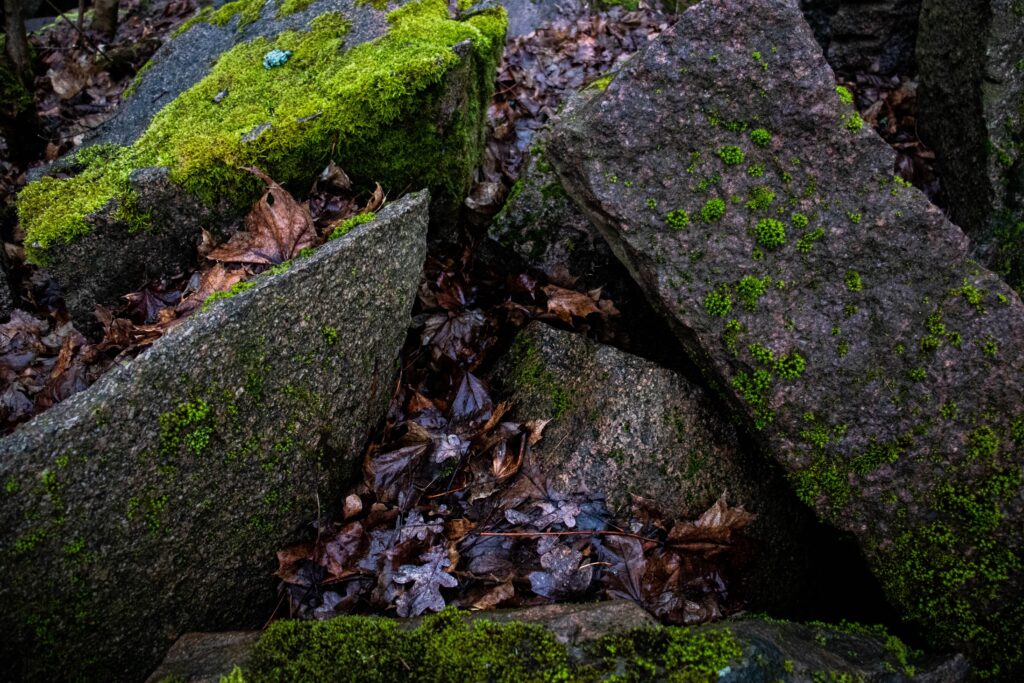 Echoes of Old Japan: Wandering Through Timeless Onsen Towns in Gunma Prefecture