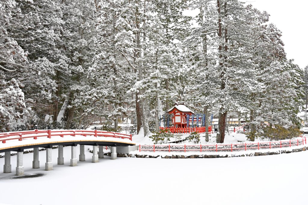 Matsuyama City Guide: Castles, Trams, and Timeless Streets in Ehime Prefecture Matsuyama City Guide: Castles, Trams, and Timeless Streets in Ehime Prefecture