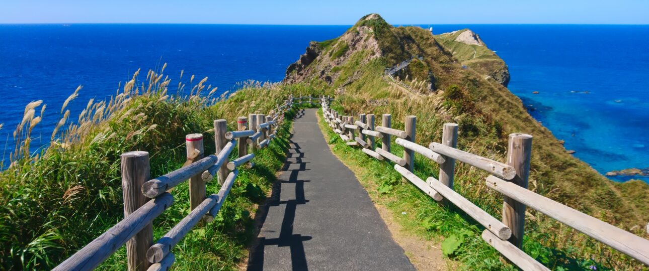 🌿 No Sakura, No Snow—Why Summer in Hokkaido Might Be Japan’s Best-Kept Secret 🌿 No Sakura, No Snow—Why Summer in Hokkaido Might Be Japan’s Best-Kept Secret