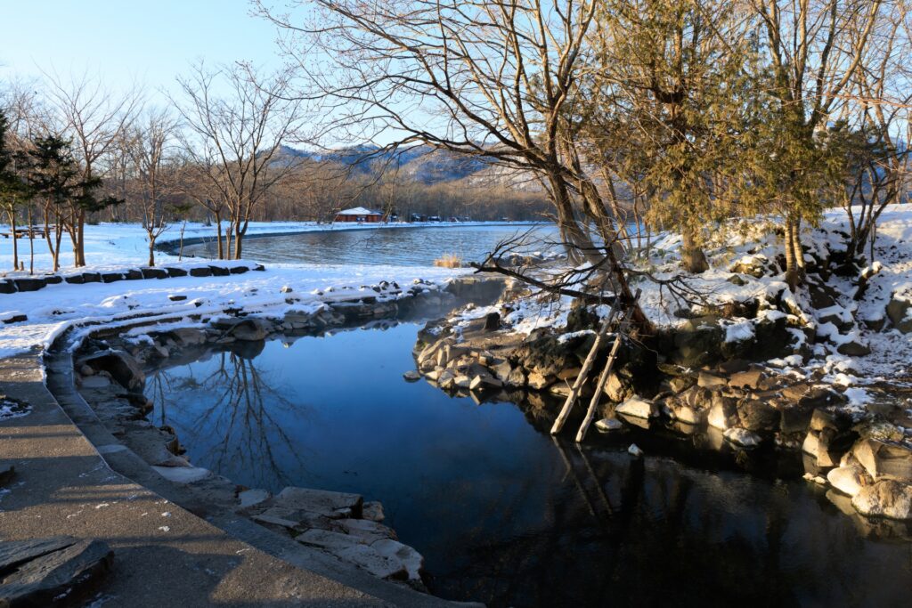 🌿 No Sakura, No Snow—Why Summer in Hokkaido Might Be Japan’s Best-Kept Secret 🌿 No Sakura, No Snow—Why Summer in Hokkaido Might Be Japan’s Best-Kept Secret