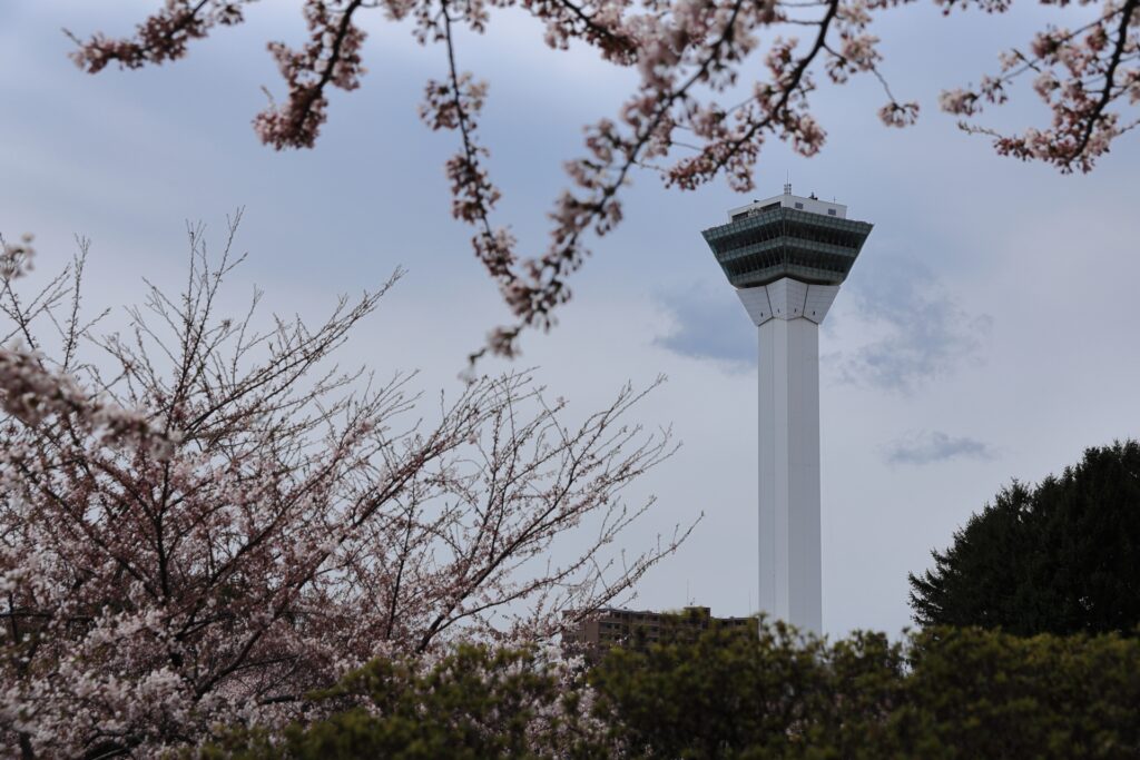 🌿 No Sakura, No Snow—Why Summer in Hokkaido Might Be Japan’s Best-Kept Secret 🌿 No Sakura, No Snow—Why Summer in Hokkaido Might Be Japan’s Best-Kept Secret