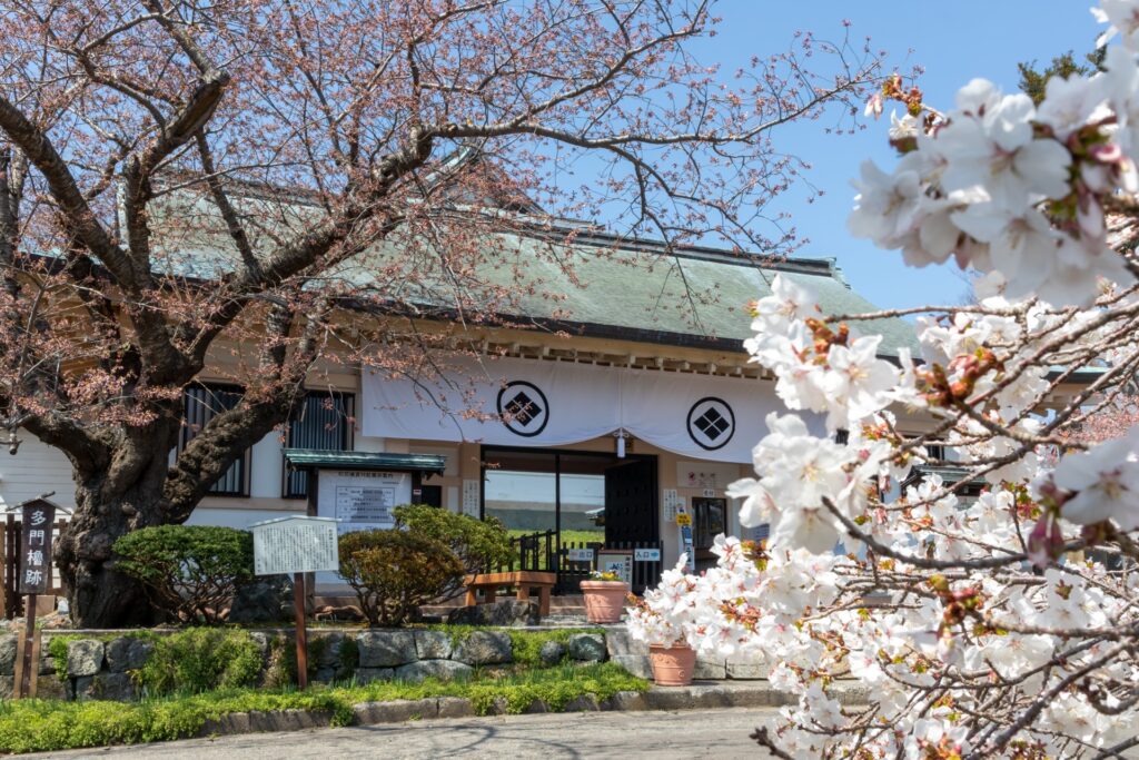 🌿 No Sakura, No Snow—Why Summer in Hokkaido Might Be Japan’s Best-Kept Secret 🌿 No Sakura, No Snow—Why Summer in Hokkaido Might Be Japan’s Best-Kept Secret