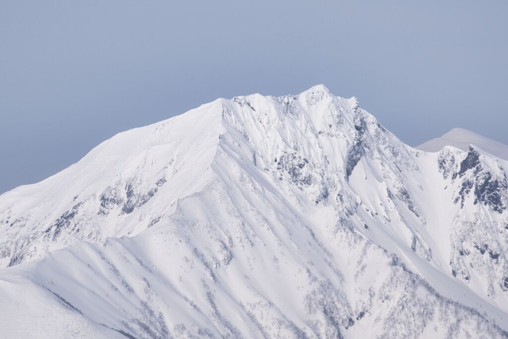 🌿 No Sakura, No Snow—Why Summer in Hokkaido Might Be Japan’s Best-Kept Secret 🌿 No Sakura, No Snow—Why Summer in Hokkaido Might Be Japan’s Best-Kept Secret
