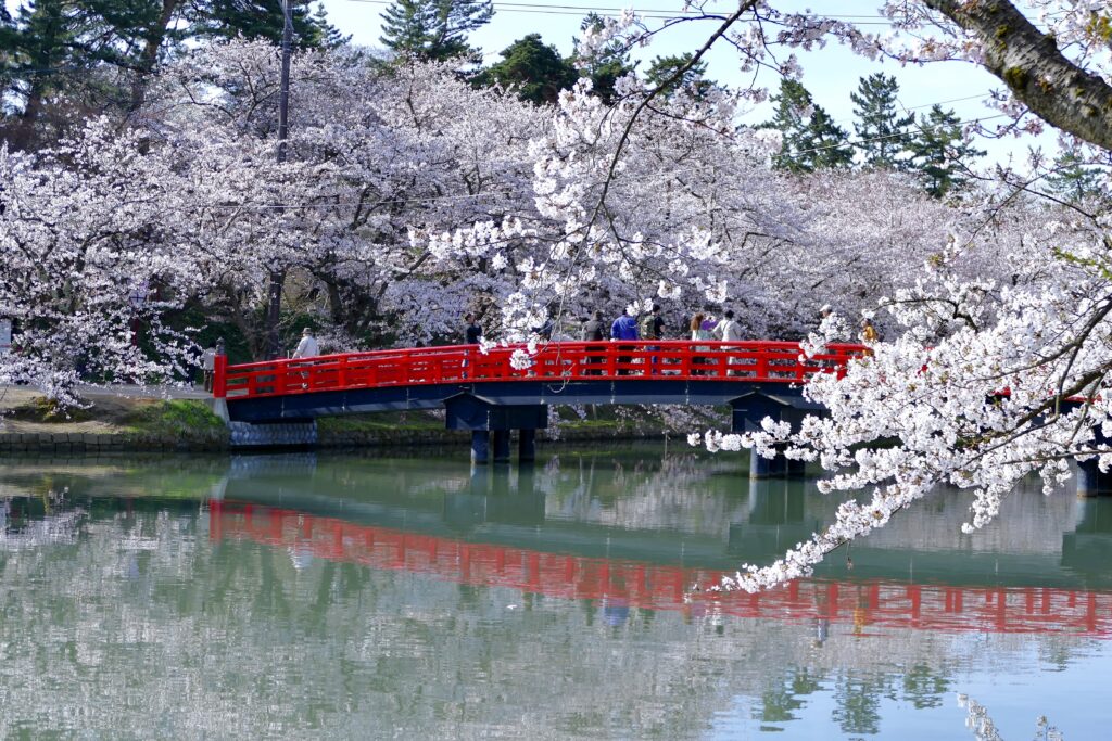 Proven 7-Day Tohoku Itinerary | Explore Tohoku During Peak Cherry Blossom Season Proven 7-Day Tohoku Itinerary | Explore Tohoku During Peak Cherry Blossom Season