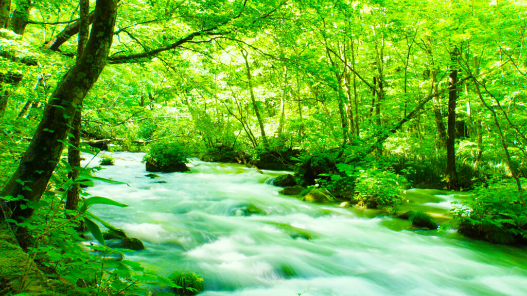 Proven 7-Day Tohoku Itinerary | Explore Tohoku During Peak Cherry Blossom Season Proven 7-Day Tohoku Itinerary | Explore Tohoku During Peak Cherry Blossom Season