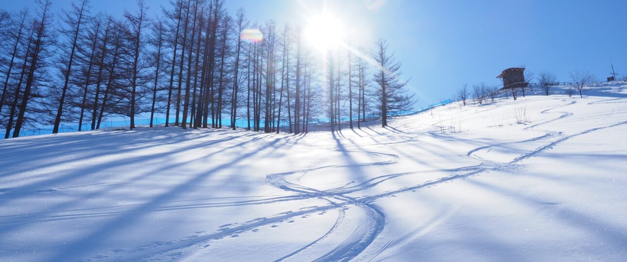 Niseko Ski Trip Guide: Where to Stay, Ski, Eat & Plan Transfers Niseko Ski Trip Guide: Where to Stay, Ski, Eat & Plan Transfers