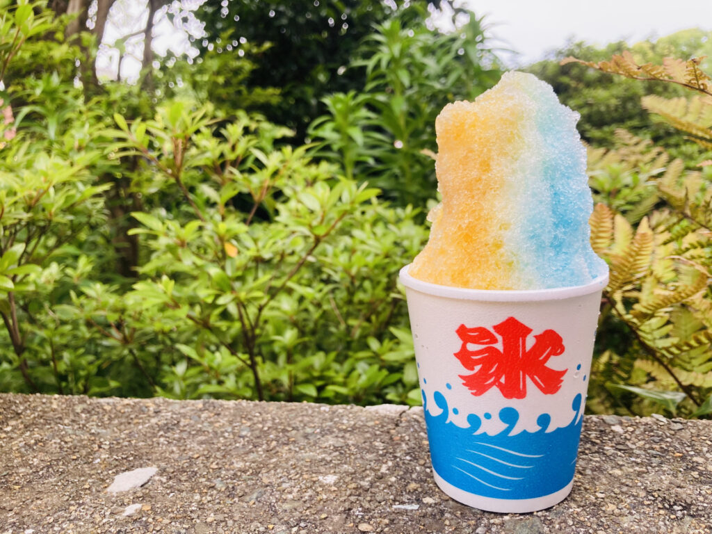 Best Japanese Summer Foods and Drinks You Must Try in 2026 best japanese summer foods and drinks you must try in 2026