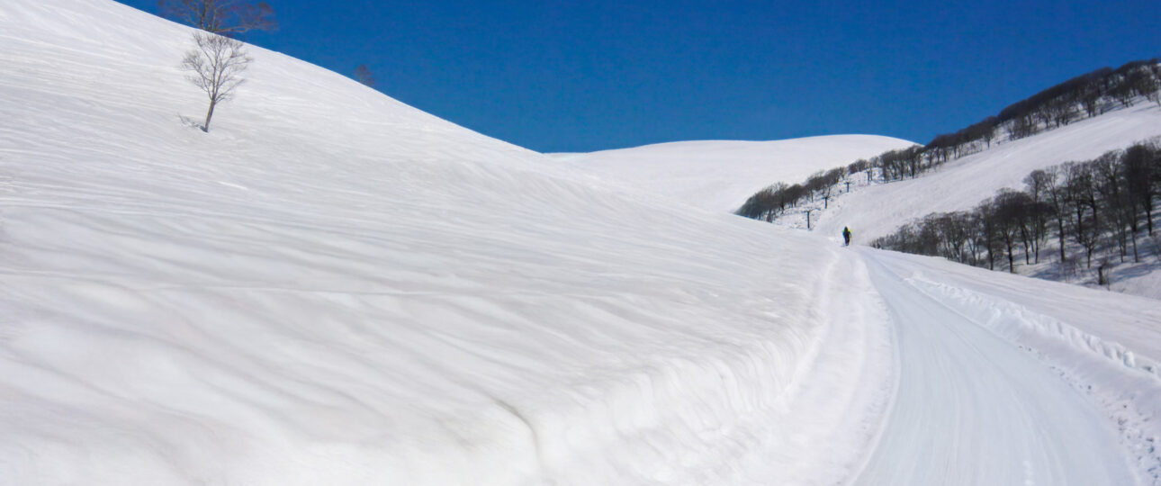 Nagano Winter Private Tour: Snow Monkeys, Ski Resorts, Onsen & Private Driver Routes Nagano Winter Private Tour: Snow Monkeys, Ski Resorts, Onsen & Private Driver Routes
