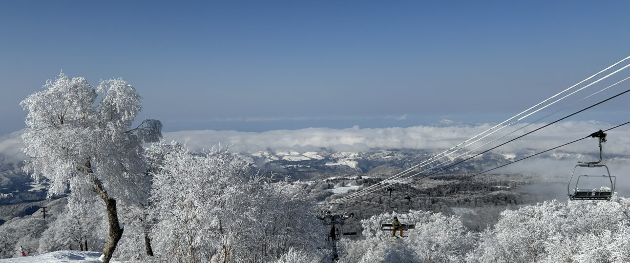 Shiga Kogen Ski Trip Guide: Nagano Ski Resorts, Hotels, Onsen & Snow Monkeys Shiga Kogen Ski Trip Guide: Nagano Ski Resorts, Hotels, Onsen & Snow Monkeys