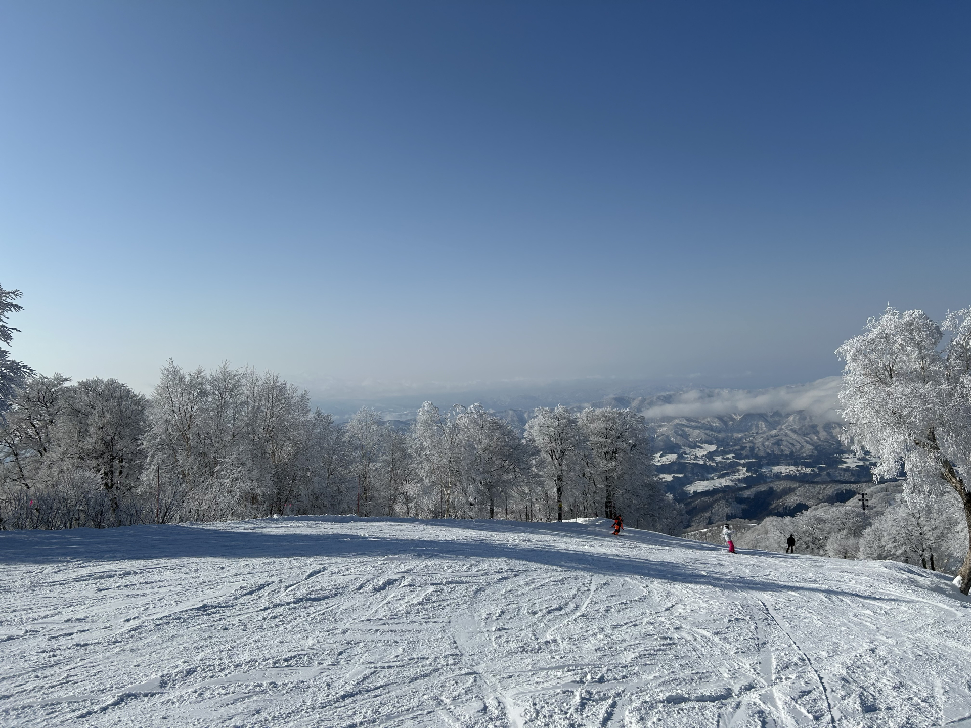 Tokyo to Nozawa Onsen Ski Trip Itinerary: Skiing, Hot Springs & Nagano Winter Route