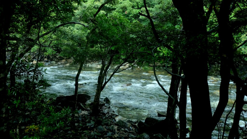 Best Places to Escape the Summer Heat in Japan (2026 Guide) Best Places to Escape the Summer Heat in Japan (2026 Guide)