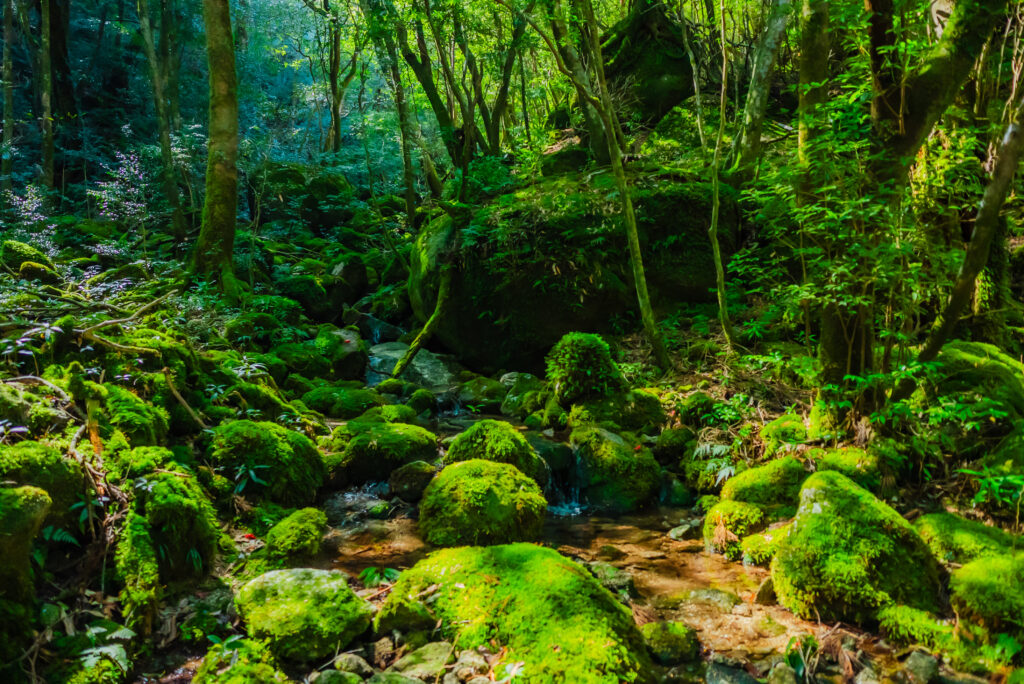 Japan's 15 Most Inspiring World Heritage Sites, Chosen by Japanese Travelers. Part 1 Japan's 15 Most Inspiring World Heritage Sites, Chosen by Japanese Travelers. Part 1