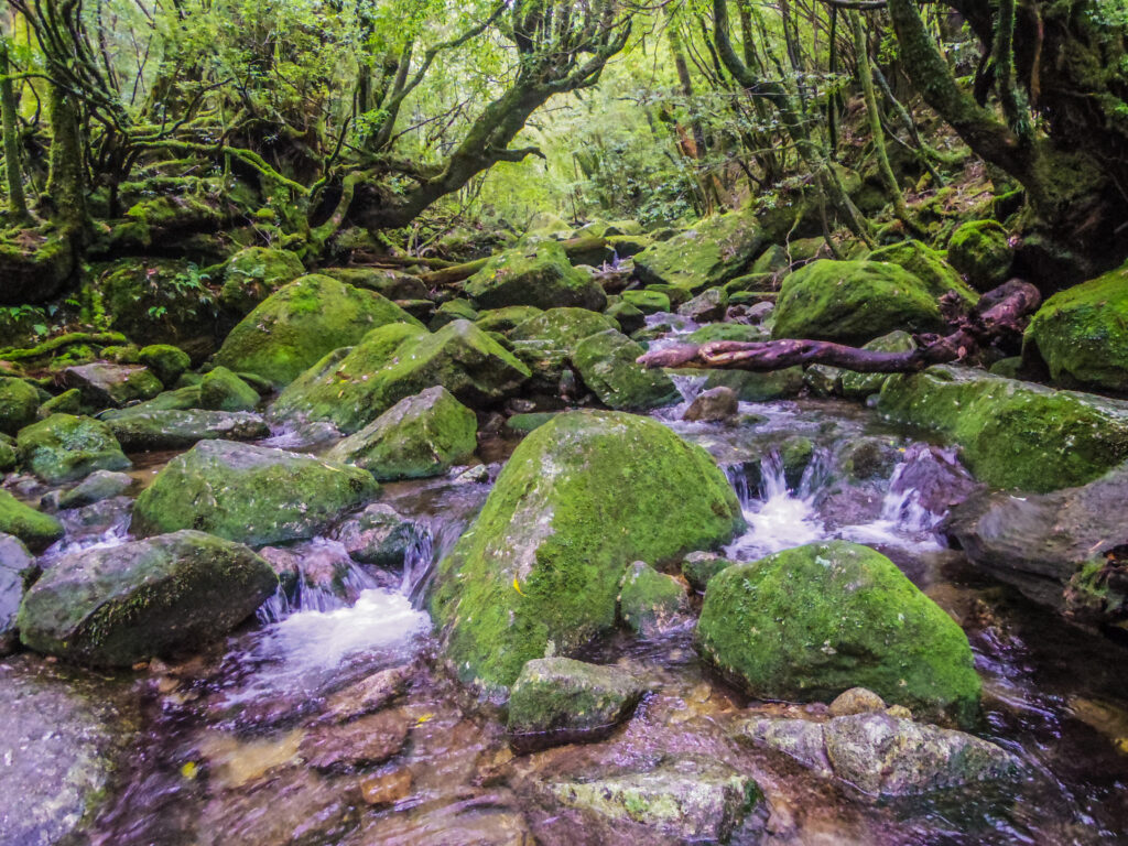 Japan's 15 Most Inspiring World Heritage Sites, Chosen by Japanese Travelers. Part 1 Japan's 15 Most Inspiring World Heritage Sites, Chosen by Japanese Travelers. Part 1