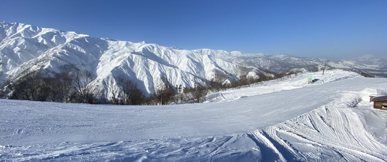 Japan Ski Lessons: Private vs Group for Beginners & Families Japan Ski Lessons: Private vs Group for Beginners & Families
