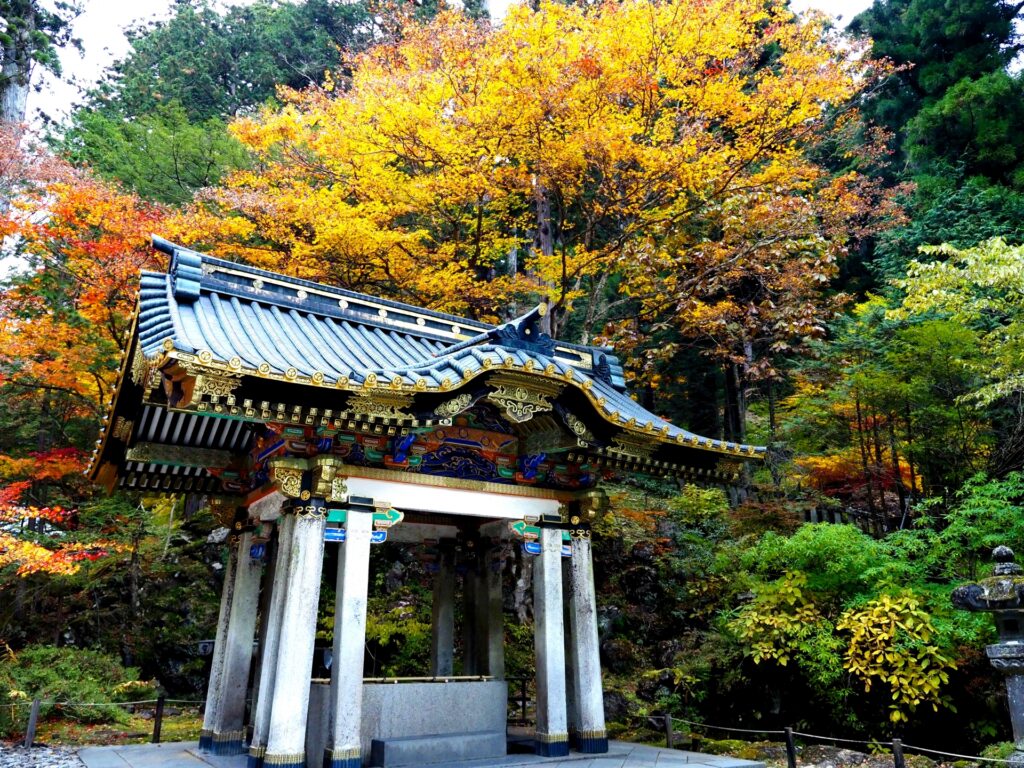 Japan Autumn Leaves 2026: When and Where to See the Best Fall Colors japan autumn leaves 2026 when and where to see the best fall colors