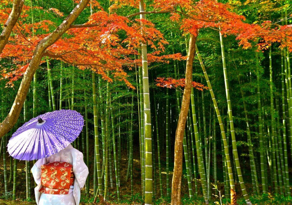 Japan Autumn Leaves 2026: When and Where to See the Best Fall Colors japan autumn leaves 2026 when and where to see the best fall colors