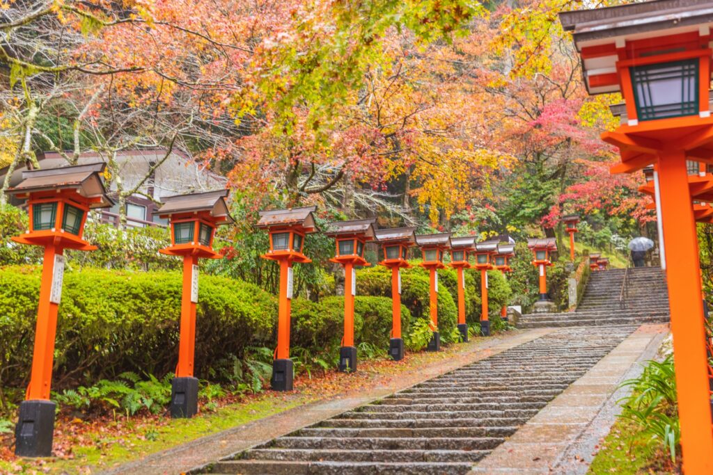 Japan Autumn Leaves 2026: When and Where to See the Best Fall Colors japan autumn leaves 2026 when and where to see the best fall colors