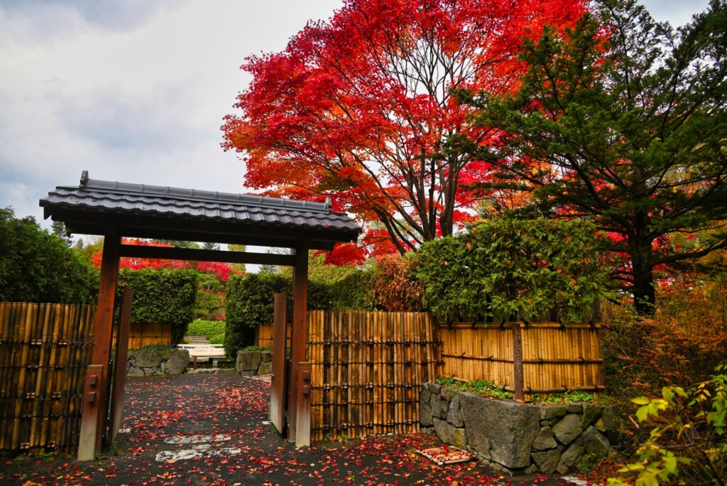 Tokyo vs. Kyoto in Autumn: Which Is Better for Fall Foliage? tokyo vs kyoto in autumn which is better for fall foliage