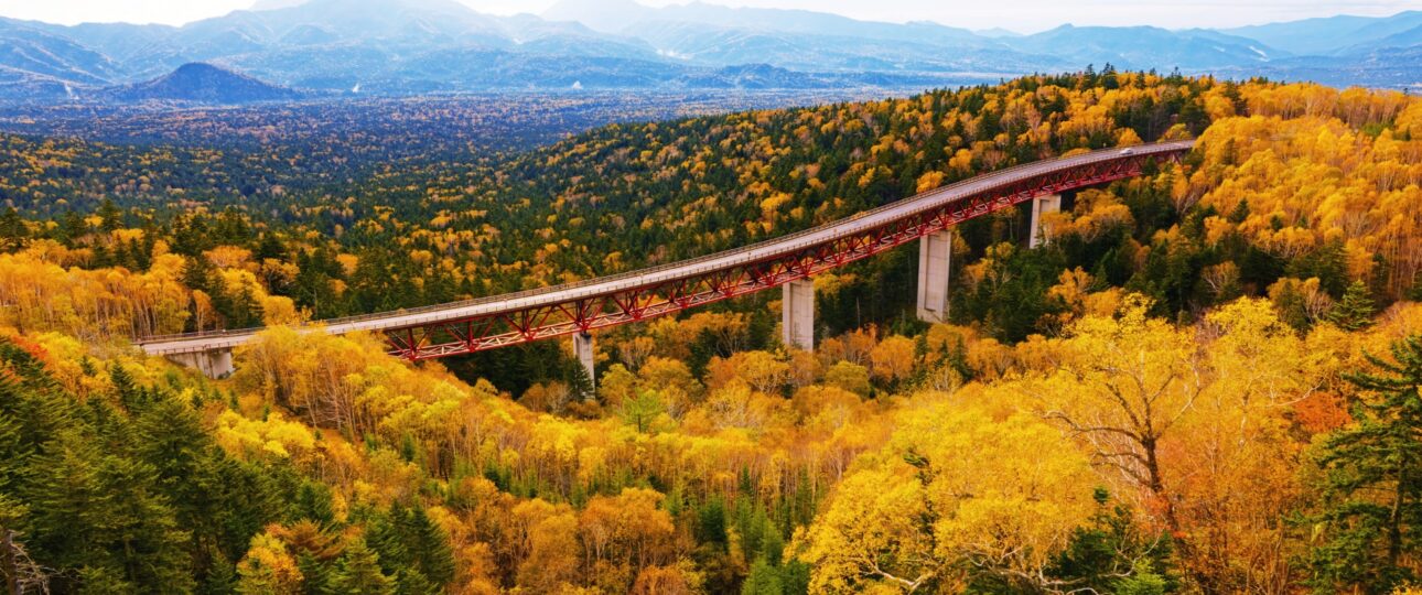 Japan Autumn Leaves 2026: When and Where to See the Best Fall Colors Japan Autumn Leaves 2026: When and Where to See the Best Fall Colors