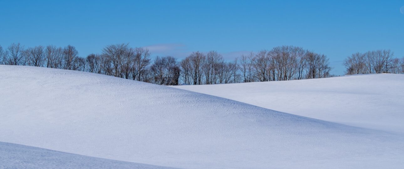 Japan Ski Trip with a Private Driver: Routes, Luggage & Transfers Japan Ski Trip with a Private Driver: Routes, Luggage & Transfers