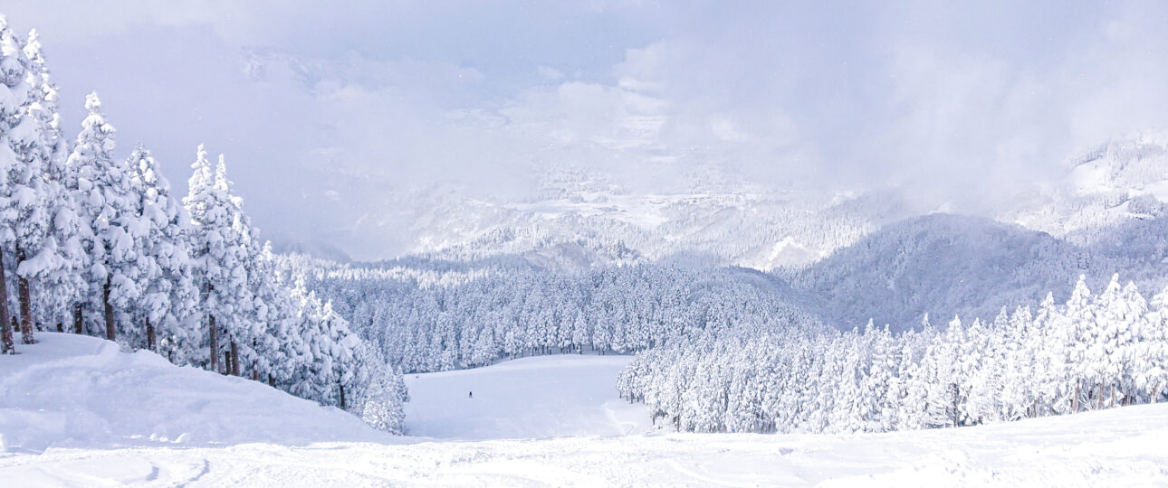 How to Plan a Ski Trip to Japan: Step-by-Step Guide How to Plan a Ski Trip to Japan: Step-by-Step Guide