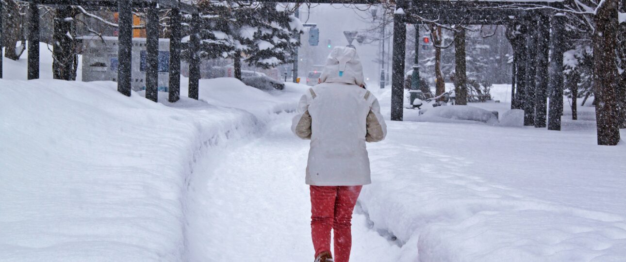Japan Ski Trip for Non-Skiers: Best Resorts & Winter Activities Japan Ski Trip for Non-Skiers: Best Resorts & Winter Activities